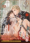 囚われの聖騎士～凌辱の檻に堕ちて～