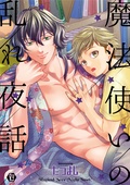 魔法使いの乱れ夜話【電子版限定描き下ろし短編付】